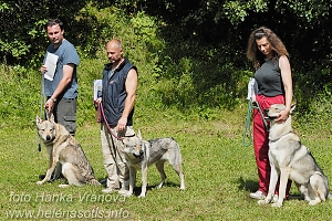 LVT Jevišovice 2009