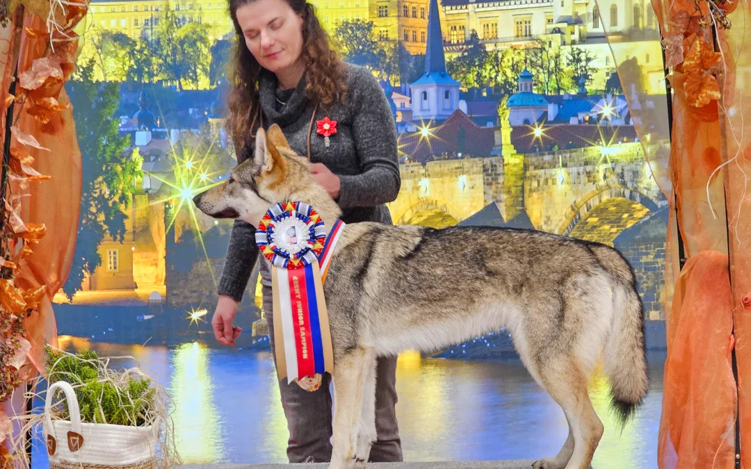 TrioCACIB Prague Expo Dog 29. 11. – 1. 12. 2024