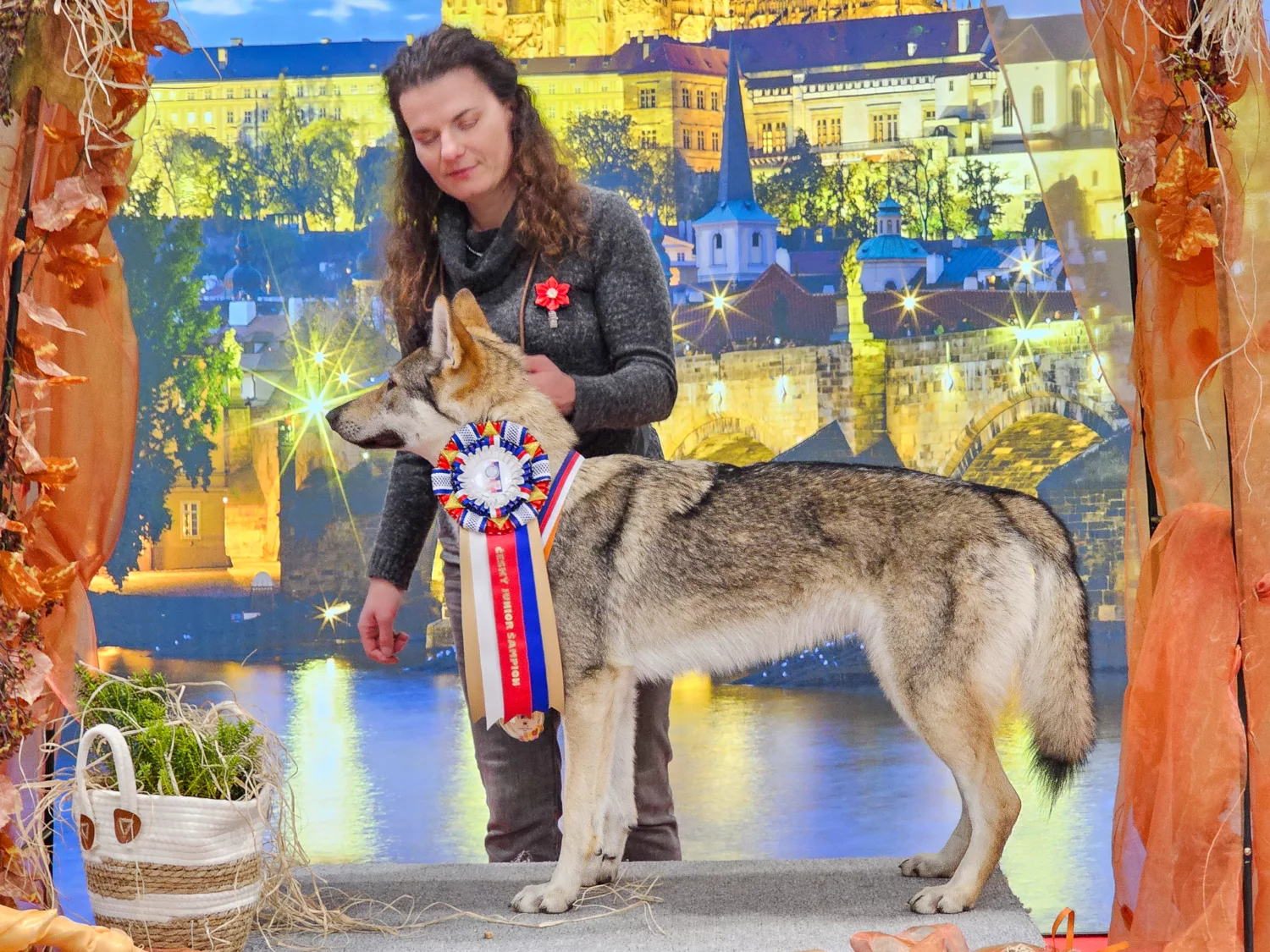 Gomeisa Sonata Carpathica – TrioCACIB Prague Expo Dog