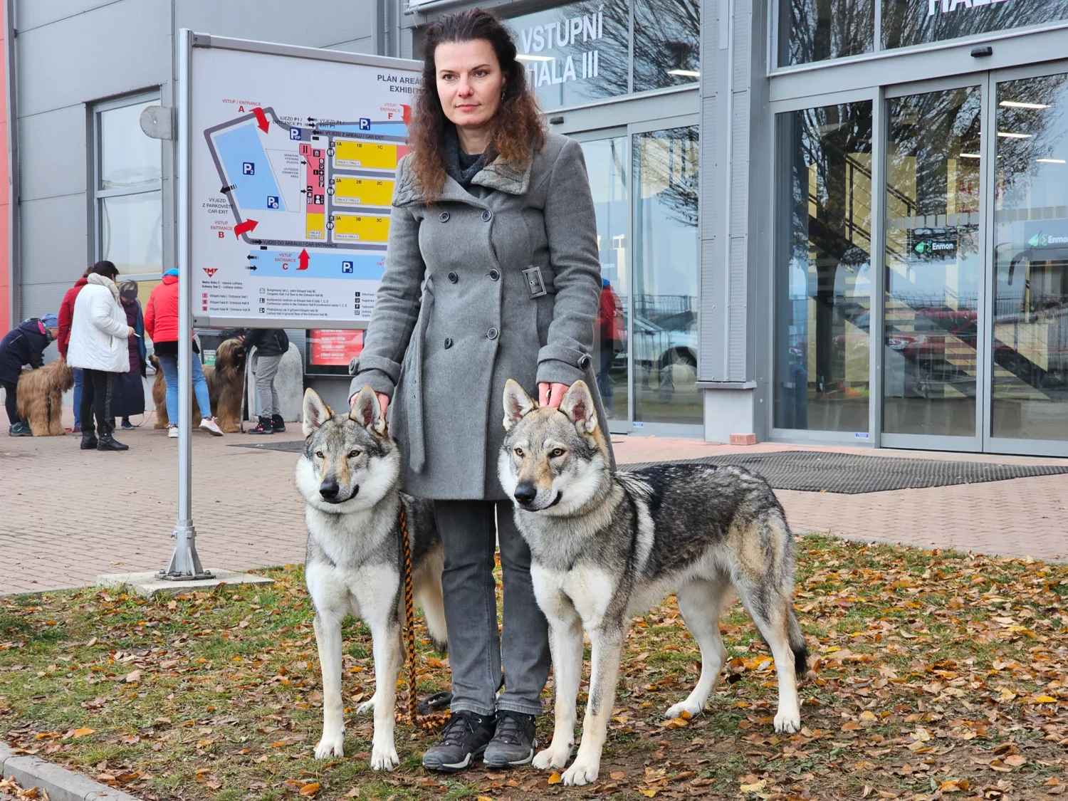 Gomeisa a Gacrux Sonata Carpathica – TrioCACIB Prague Expo Dog